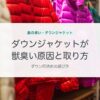 ダウンジャケットが獣臭い原因と取り方