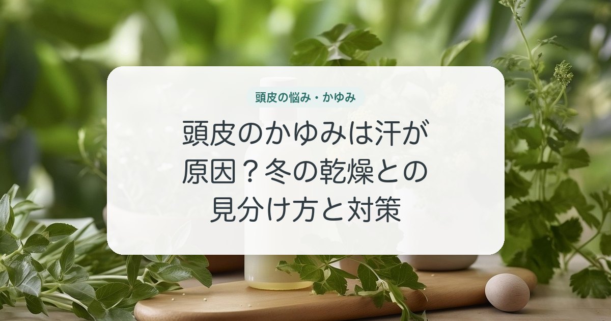頭皮のかゆみは汗が原因？冬の乾燥との見分け方と対策